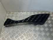 Vorderer oberer Gitter NISSAN JUKE (F15) 1.5 dCi 62075BV80A