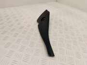 Armaturenbrett Seitenverkleidung RENAULT GRAND SCÉNIC III (JZ0/1_) 1.6 dCi (JZ00, JZ12) 689209812R