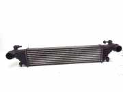 Ladeluftkühler FIAT 500L (351_, 352_) 1.3 D Multijet 8A9450000