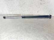 Gasfeder für Motorhaube Opel Astra H () 244652950512