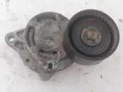 Generatorriemen des Spanners NISSAN INTERSTAR Furgon (X70) dCi 120 0802410121