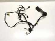 Kabel der vorderen linken Tür BMW X5 (F15, F85) xDrive 40 d 9364902