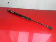 Heckklappe Gasdruckfeder rechts OPEL MERIVA B 1.4 LPG 315005777 13338367