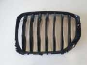 Vorderer oberer Gitter BMW X5 (G05) xDrive 40 i 7454887