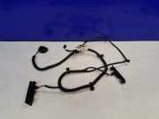 Kennzeichenleuchte Volvo S60 II (134) 31327379