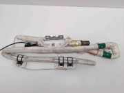 Airbag Dach links Ford C-Max II (DXA) 1D0762901