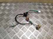 Rücklichtkontakte NISSAN JUKE (F15) 1.6 DIG-T 4x4