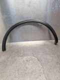 Rear Arch Liner Trim INFINITI EX 30d LE205111200
