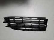 Gitter vorne unten MERCEDES-BENZ SLK (R172) 300 (172.438) A1728852423