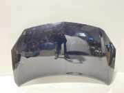 Motorhaube RENAULT KOLEOS I (HY_) 2.0 dCi (HY0K)