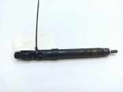 Einspritzdüse PEUGEOT 407 Coupe (6C_) 2.0 HDi 9686191080