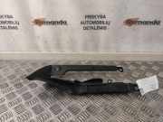 Schutzleiste Kotflügel Audi TT (8S) 8S0821169B