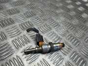 Einspritzdüse RENAULT GRAND SCÉNIC III (JZ0/1_) 1.9 dCi H8200778880