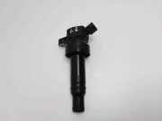 Zündspule Kia Sportage 3 (SL) 273012B100