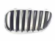 Vorderer oberer Gitter BMW X3 (E83) 2.0 d 3420087