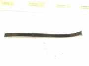 Zierleiste Windschutzscheibe Frontscheibe MERCEDES-BENZ C (W204) C 250 CDI 4-matic (204.082) 2046907862 2046906462