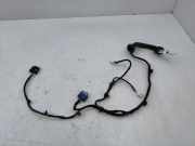 Türverkabelung hinten links NISSAN QASHQAI II (J11, J11_) 1.5 dCi 24126HV00C