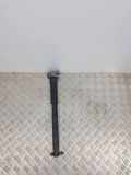 Stoßdämpfer hinten links MERCEDES-BENZ CLS (C218) CLS 63 AMG 4-matic (218.392) A2043260598