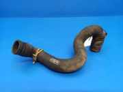 Schlauch Kühlung FORD FOCUS IV (HN) 1.0 EcoBoost