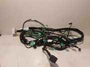 Kabelbaum RENAULT KOLEOS II 2.0 dCi 175 4WD 241601019R