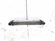 Ladeluftkühler MERCEDES-BENZ B (W245) B 180 CDI (245.207) A1695000000