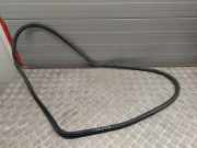 Türdichtungsgummi vorne links AUDI A4 Allroad (8KH, B8) 2.0 TFSI quattro 8K0831721E