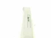 Verkleidung B-Säule links Ford Transit Connect V408 Kasten () DT11V24582