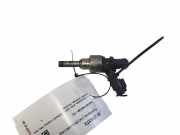 Einspritzdüse AUDI Q5 (8R) SQ5 TDI quattro 306E036P