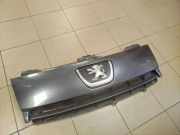 Vorderer oberer Gitter PEUGEOT EXPERT Furgon (VF3A_, VF3U_, VF3X_) 2.0 HDi 120 1497650077