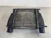Ladeluftkühler NISSAN JUKE (F15) 1.5 dCi 14461EM00A