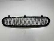 Kühlergrill unten BMW X5 (E70) 51117205560