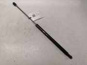 Heckklappendämpfer links Peugeot 206 SW (2E/K) F360N