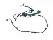 Türverkabelung hinten links FORD KUGA III (DFK) 2.5 Duratec Plug-in-Hybrid LX6T14633