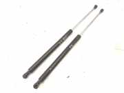 Heckklappe Gasdruckfeder links RENAULT LAGUNA II (BG0/1_) 2.0 dCi (BG1T) 8200000902B