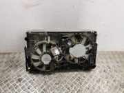 Kühler Lexus NX 1 ()