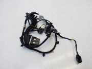 Türverkabelung hinten rechts FORD PUMA (J2K, CF7) 1.0 EcoBoost mHEV L1TT14632CBC