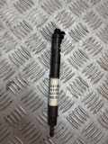 Einspritzdüse FORD C-MAX II (DXA/CB7, DXA/CEU) 2.0 TDCi 9686191080