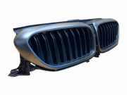 Vorderer oberer Gitter BMW 5 Touring (G31) 520 d 1831641
