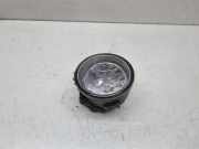 Nebelscheinwerfer links BMW X3 (F25) xDrive 30 d 7238787