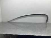 Türleiste hinten rechts BMW 5 (G30) 530 i 51357381277