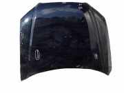 Motorhaube AUDI A4 Cabrio (8H7, B6, 8HE, B7) 2.0 TDI