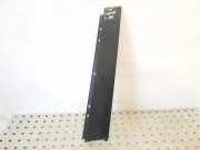 Vertikale Verkleidung an der hinteren linken Tür FIAT CROMA (194_) 1.9 D Multijet