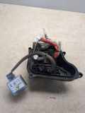 Xenon-Lampe CITROËN C5 III Break (TD_) 2.0 HDi Cb1915269