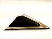 Zierleiste Kotflügel vorne links