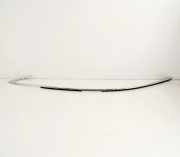 Dachzierleiste links Tesla Model S (5YJS)