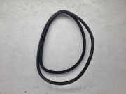 Türgummi rechts vorne Seat Exeo (3R) 8E0831721E