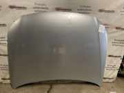 Motorhaube VW Passat B7 (362)
