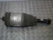 Stoßdämpfer hinten links