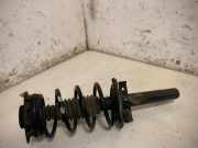 Stoßdämpfersatz Vorderachse Renault Megane II Coupe/Cabriolet (EM)