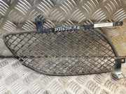 Kühlergrill links Jaguar XF (X250) AX2M15K233